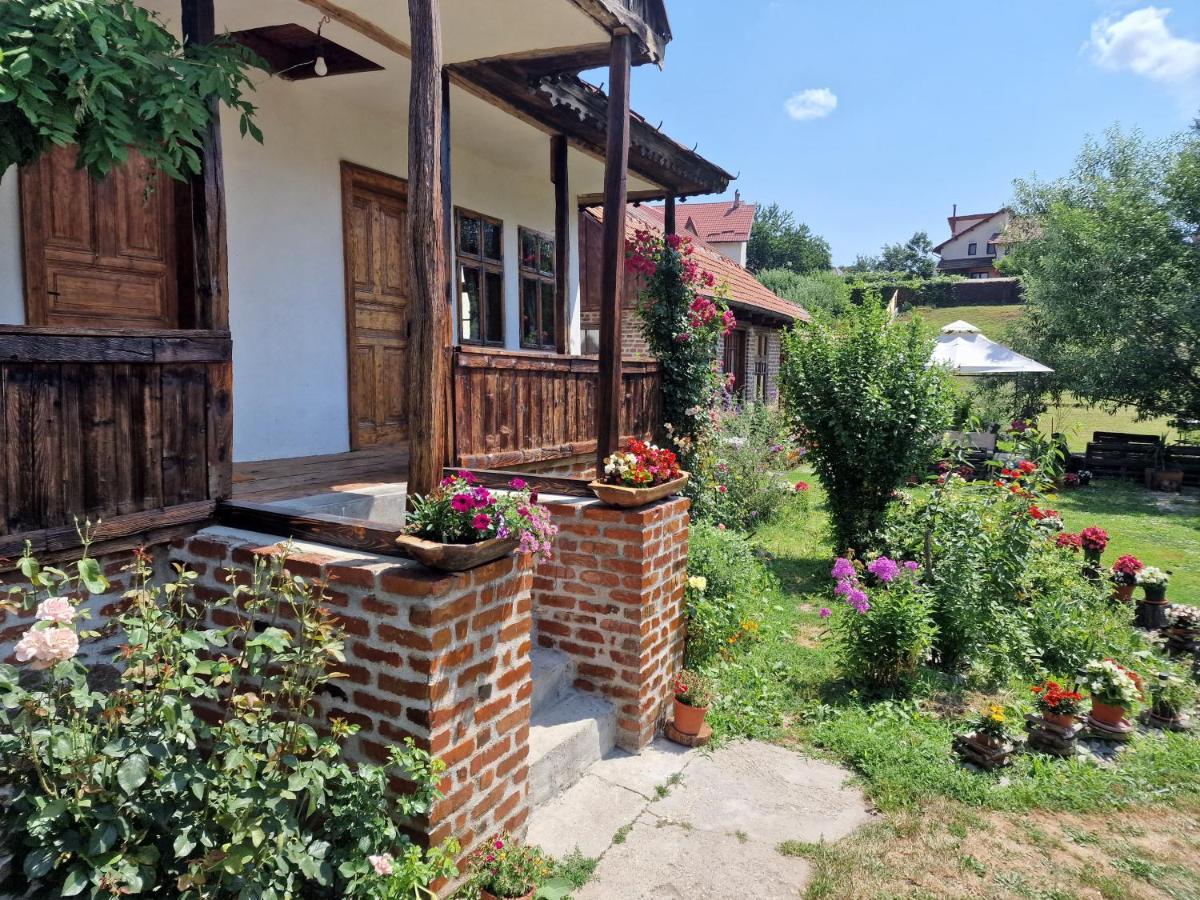 Old Court Villa Curtea de Argeş Eksteriør billede